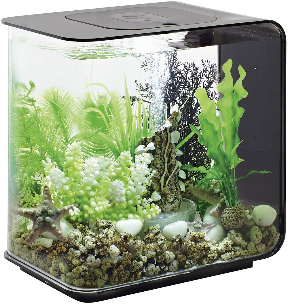 Oase 72029 biOrb FLOW 15 LED schwarz Aquarium 15l mit LED-Beleuchtung