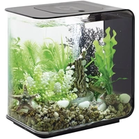 Oase 72029 biOrb FLOW 15 LED schwarz Aquarium 15l mit LED-Beleuchtung Oase 72029 biOrb FLOW 15 LED schwarz Aquarium 15l mit LED-Beleuchtung