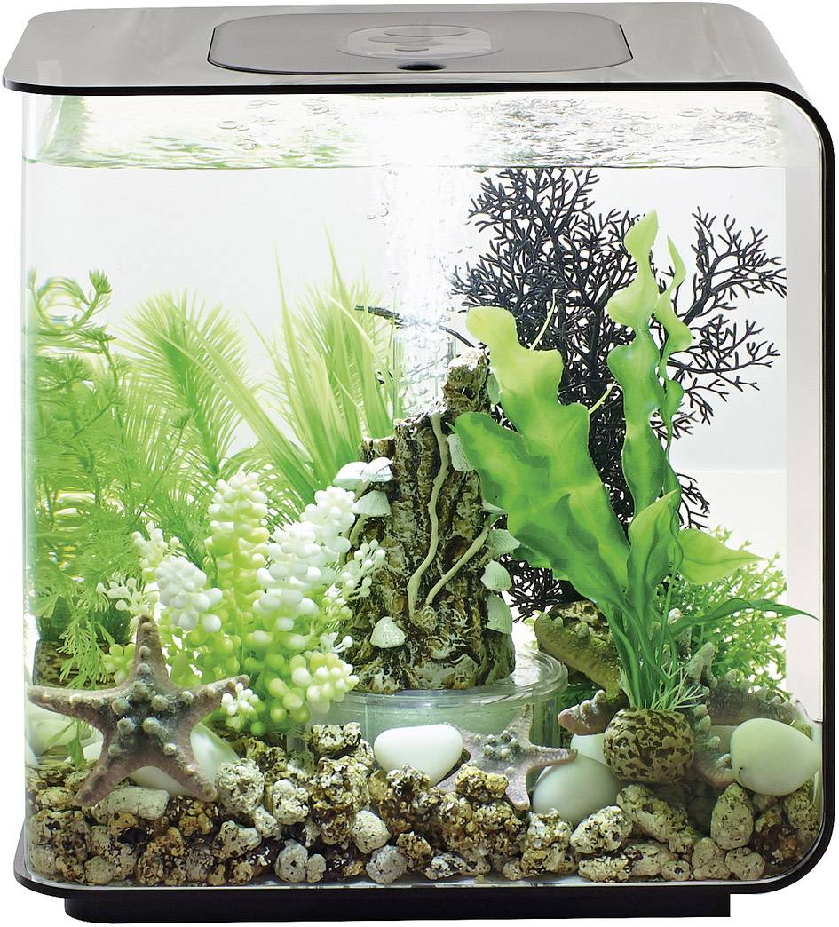 Oase 72029 biOrb FLOW 15 LED schwarz Aquarium 15l mit LED-Beleuchtung