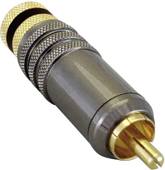 Ein goldener RCA-Stecker mit schwarzen und silbernen Ringen. Er dient zur Übertragung von Audio- oder Videosignalen.