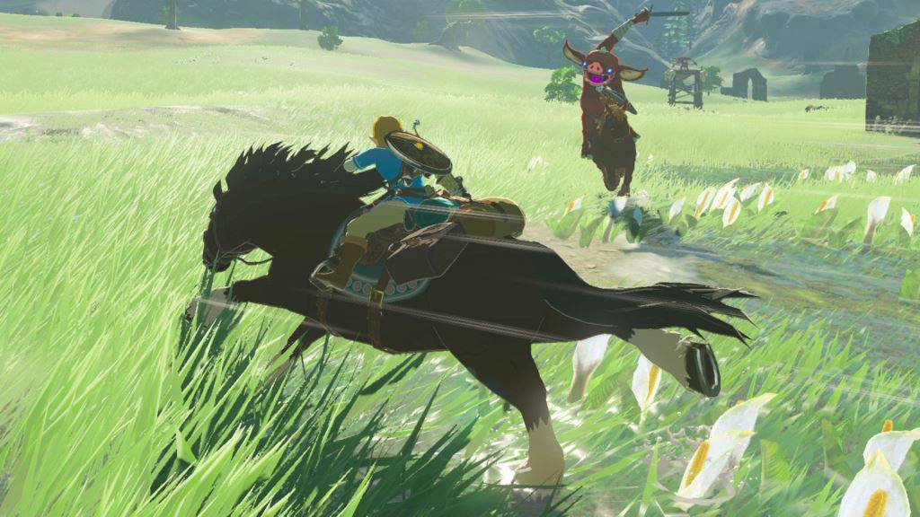 Nintendo The Legend of Zelda: Breath of the Wild Wii U USK: 12