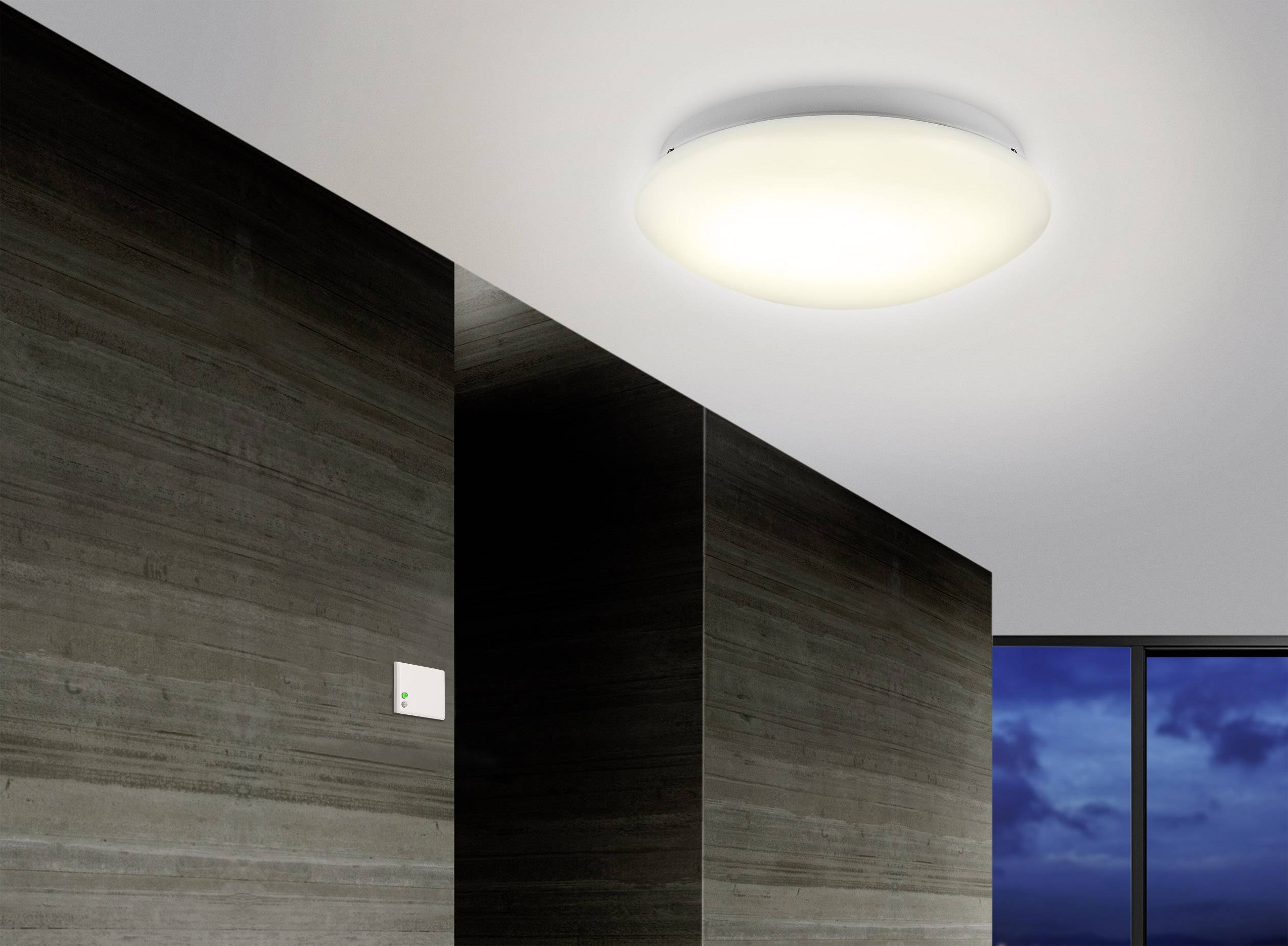 Renkforce 1530623 Decke, Wand HF-Bewegungsmelder 360° Relais Weiß