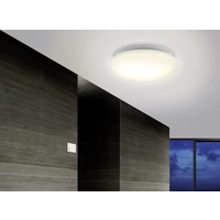 Renkforce 1530623 Decke, Wand HF-Bewegungsmelder 360° Relais Weiß Renkforce 1530623 Decke, Wand HF-Bewegungsmelder 360° Relais Weiß