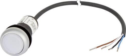 C22-DL-W-K10-24-P62 Drucktaster flach Weiß 1St.