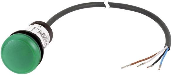 Eaton C22-L-G-24-P62 Meldeleuchte flach Grün 24 V DC/AC 1 St.