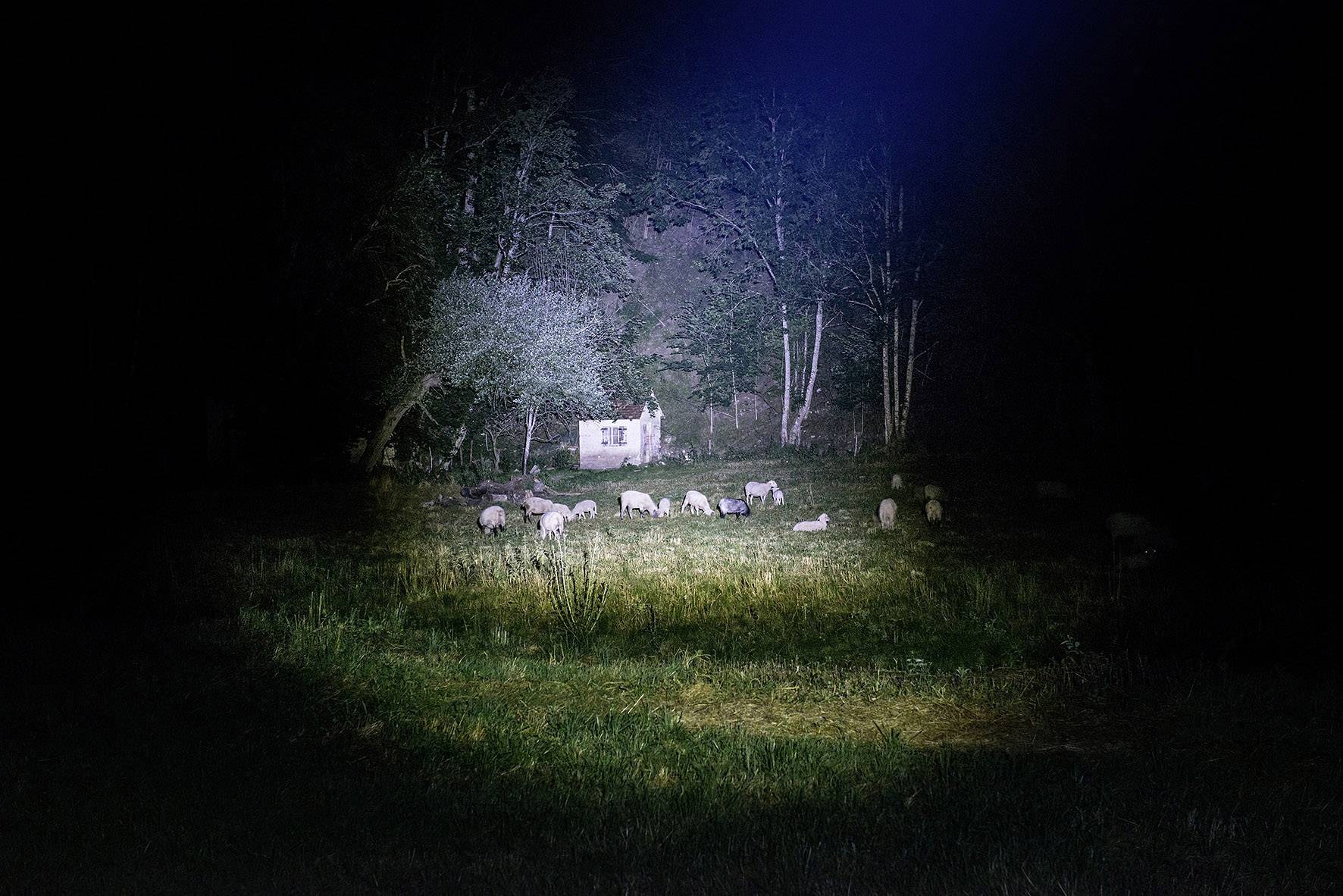 Brennenstuhl LuxPremium TL 450AF LED Taschenlampe mit Handschlaufe akkubetrieben 450 lm 2 h 200 g