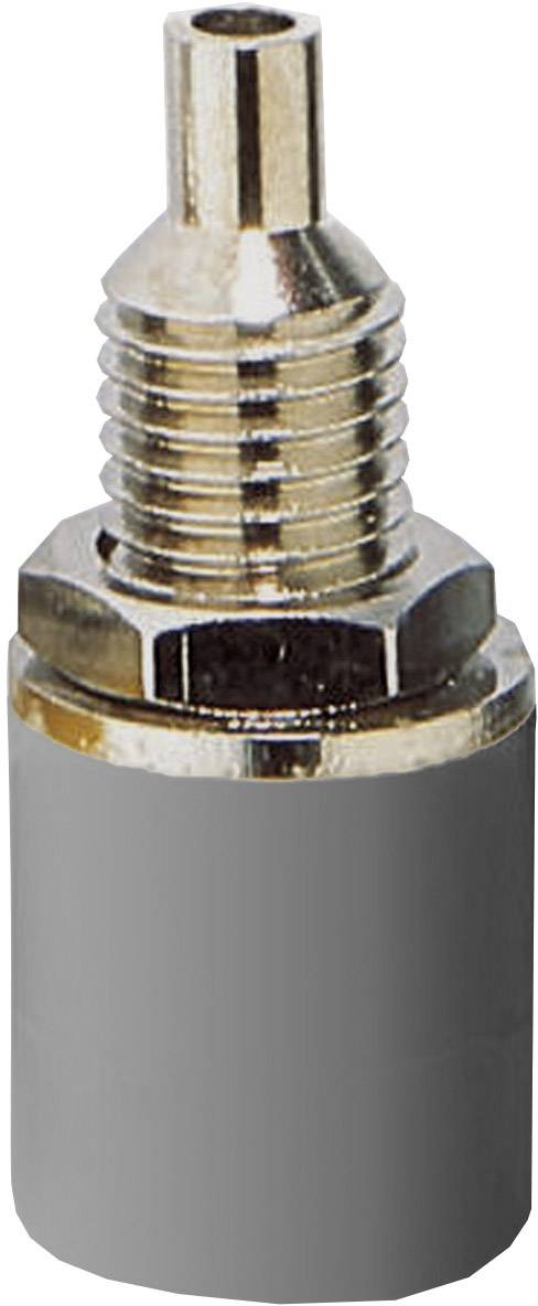 Metalladapter mit grauer Abdeckung, Gewinde oben, geeignet für verschiedene Verbindungen in technischen Anwendungen.