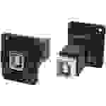 Cliff XLR Adapter USB B Buchse auf USB B Adapter, Einbau CP30203NX Inhalt: 1St.