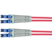 Telegärtner L00870A0024 fibre optique FO Câble de raccordement [1x LC mâle - 1x LC mâle] 9/125 µ Singlemode OS2 1.00 m