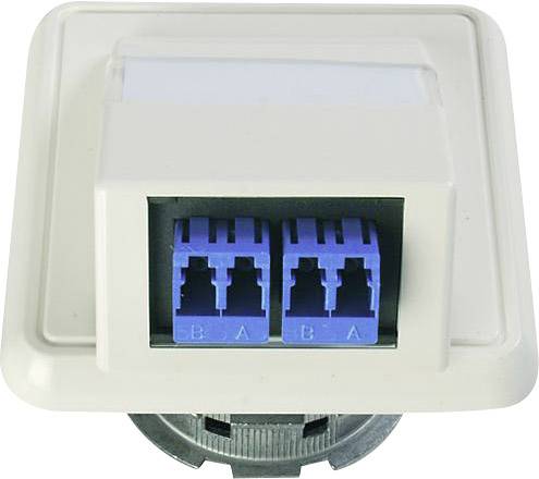 Einzelner Ethernet-Wandanschluss mit zwei blauen Ethernet-Ports, die mit 'A' und 'B' beschriftet sind. Gehäuse ist weiß.