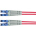 Telegärtner L00870A0002 fibre optique FO Câble de raccordement [1x LC mâle - 1x LC mâle] 9/125 µ Singlemode OS2 1.00 m