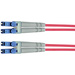 Telegärtner L00875A0003 fibre optique FO Câble de raccordement [1x LC mâle - 1x LC mâle] 50/125 µ Multimode OM3 10.00 m