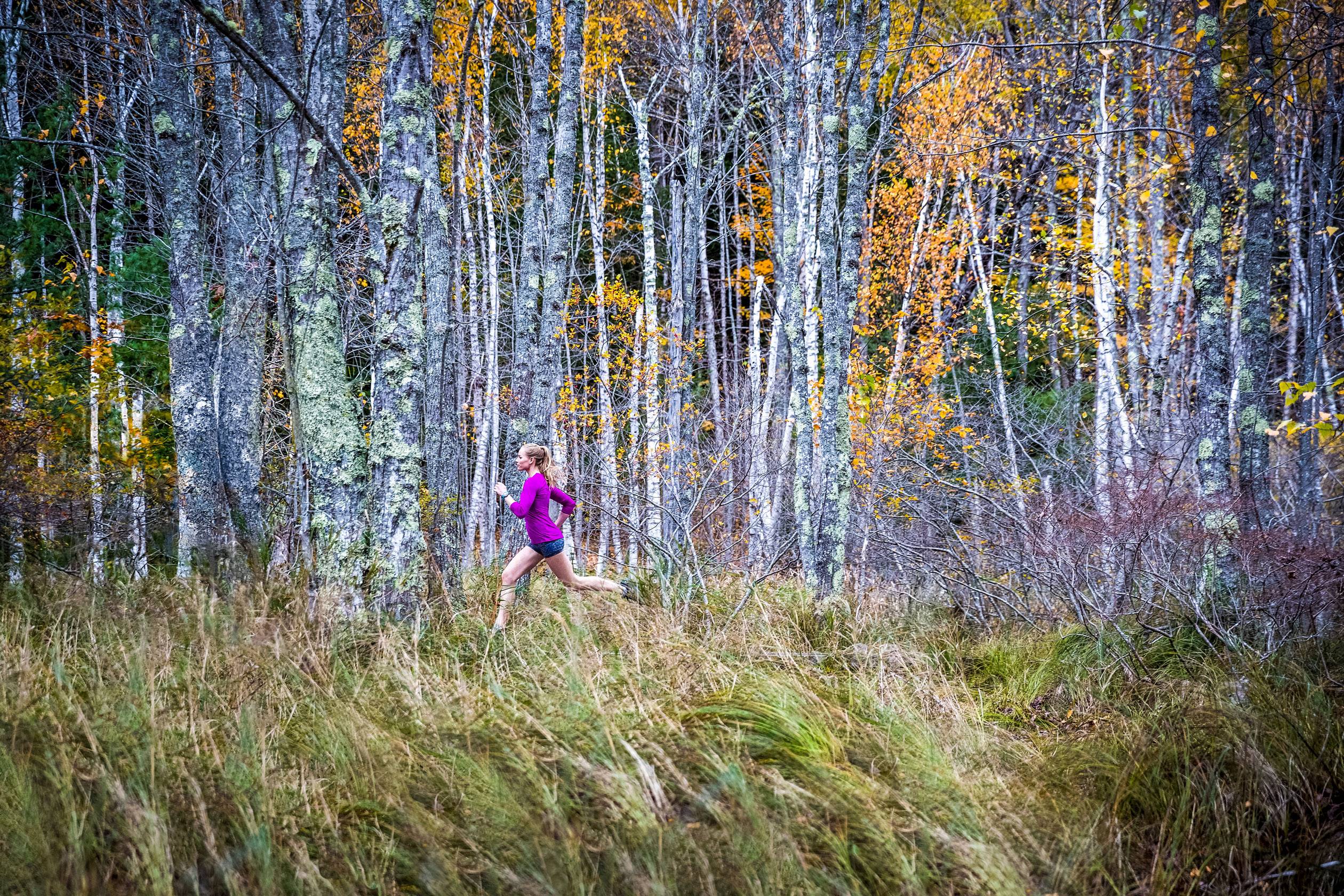 Garmin Smartwatch Weiß