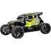 FG Modellsport Beetle Pro 1:6 RC Modellauto Benzin Buggy Allradantrieb (4WD) RtR 2,4GHz inkl. Akku, Ladegerät und Senderbatterien