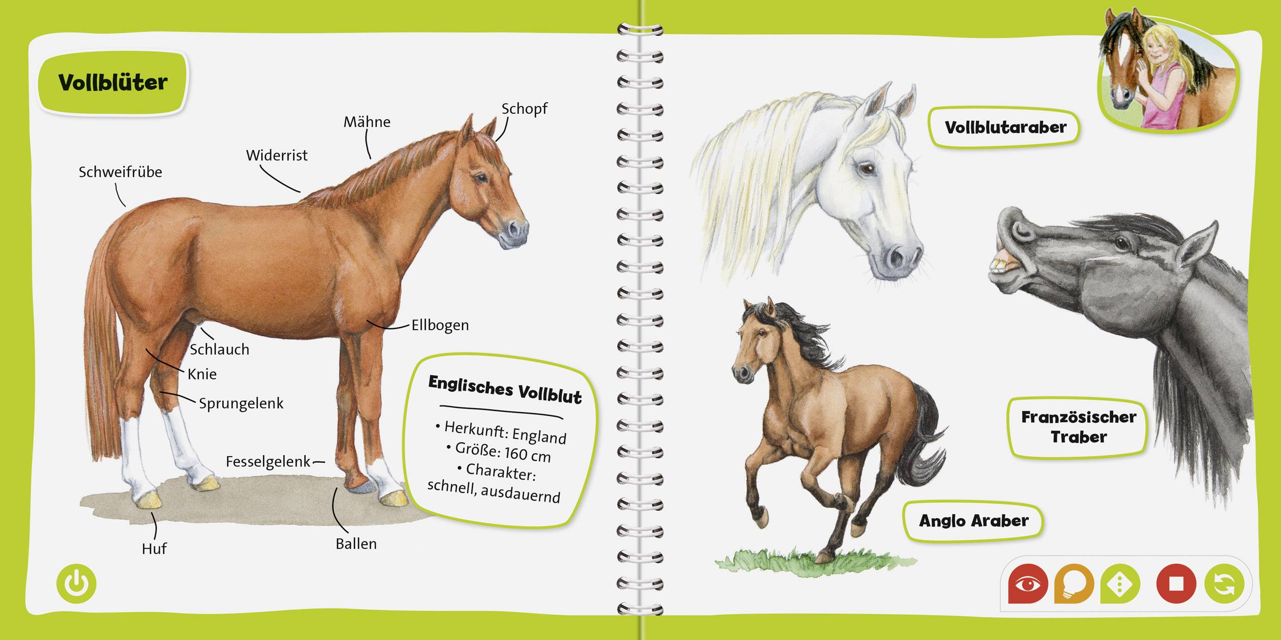 Ravensburger tiptoi® Pferde und Ponys tiptoi® 55408