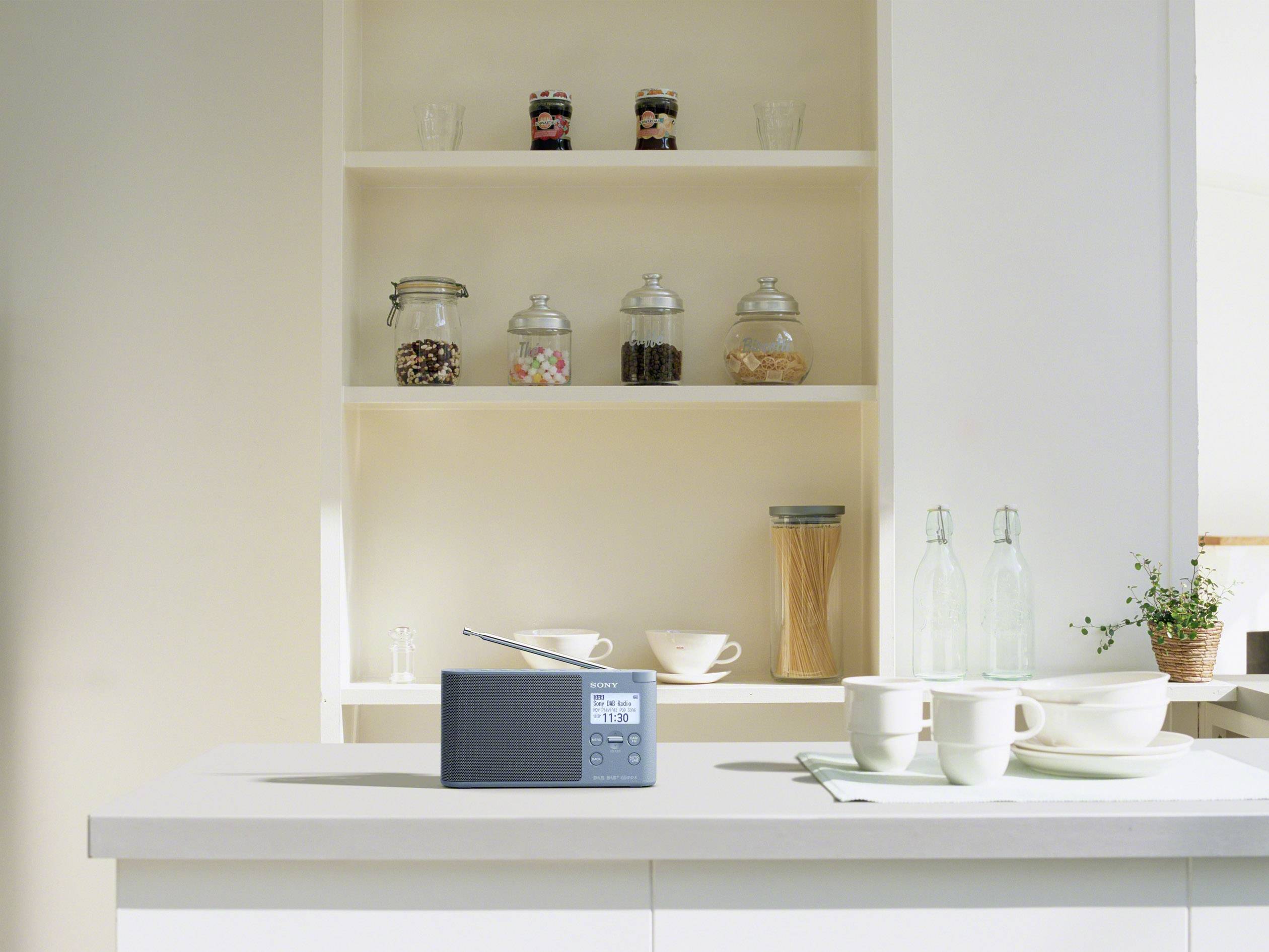 Sony XDR-S41D Tischradio DAB+, DAB, UKW Blau