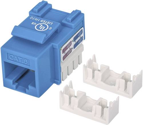 Intellinet 210737 RJ45-Einbaumodul Keystone CAT 6