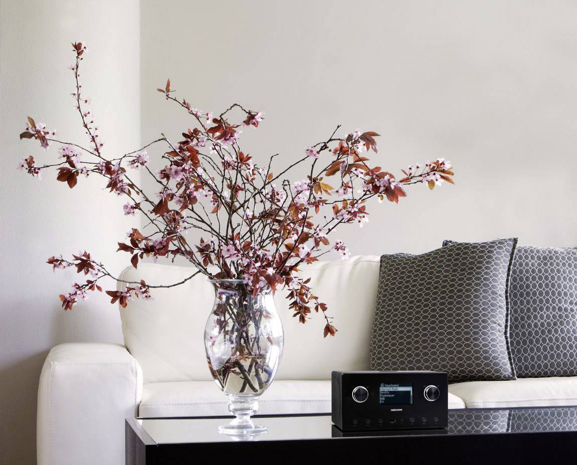 Medion P85080 (MD87523) Internet Tischradio DAB+, UKW AUX, Bluetooth®, Internetradio, WLAN Multiroom-fähig, Spotify Schwarz