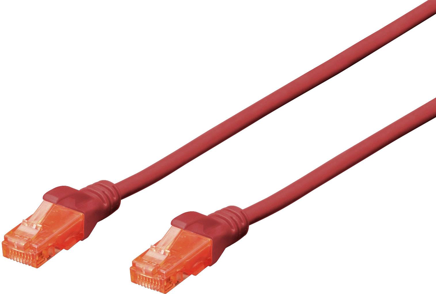Rotes Ethernet-Kabel mit zwei RJ45-Steckern, geeignet für Netzwerkverbindungen.