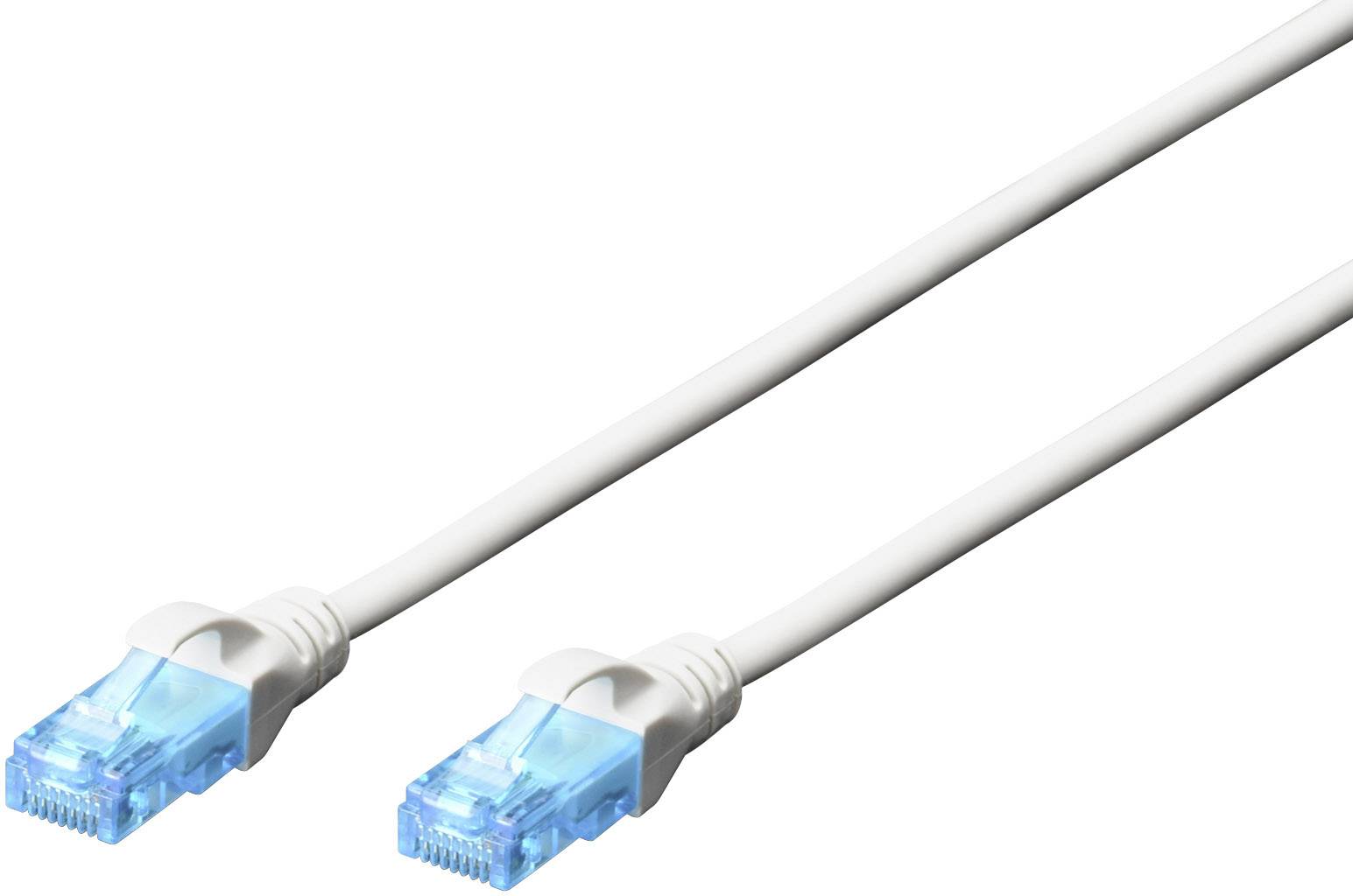 Ein weißes Netzwerkkabel mit zwei blauen RJ45-Steckern an beiden Enden, verwendet für Ethernet-Verbindungen.