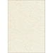 Sigel DP655 Motivpapier Pergament DIN A4 200 g/m² Champagner 50 Blatt Sigel DP655 Motivpapier Pergament DIN A4 200 g/m² Champagner 50 Blatt