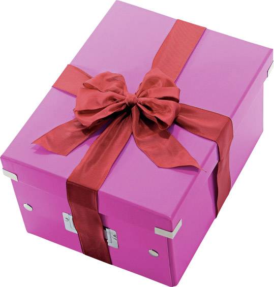 Leitz Aufbewahrungsbox 6044 Click & Store Pink (B x H x T) 281 x 200 x 370 mm 1 St.