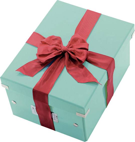 LEITZ Click & Store Aufbewahrungs- und Transportbox 6044, mittel, für DIN A4, eisblau