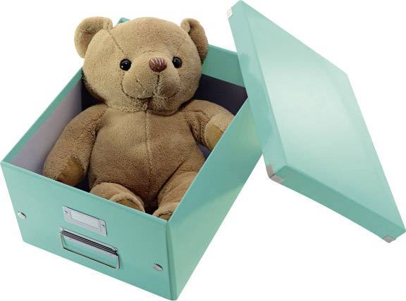 LEITZ Click & Store Aufbewahrungs- und Transportbox 6044, mittel, für DIN A4, eisblau