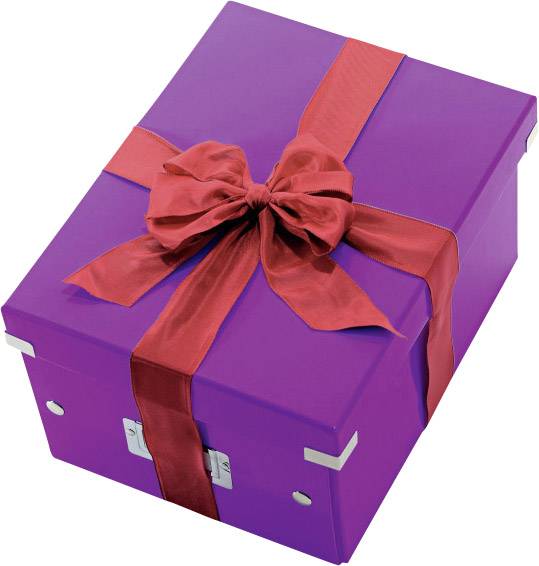 Leitz Click & Store Aufbewahrungs- und Transportbox Mittel (Für A4), Violett