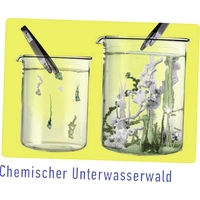 Ravensburger Chemie-Labor 18937 Experimentierkasten ab 10 Jahre Ravensburger Chemie-Labor 18937 Experimentierkasten ab 10 Jahre