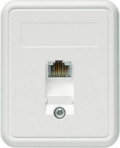 Telegärtner Netzwerkdose Aufputz CAT 5e 1 Port Alpinweiß