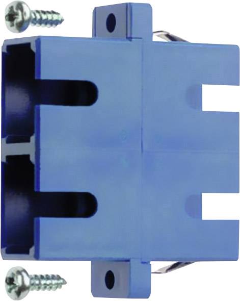 Ein blauer H4-Halogenlampensockel mit zwei Schrauben daneben. Der Sockel ist für den Anschluss von Autolampen ausgelegt.
