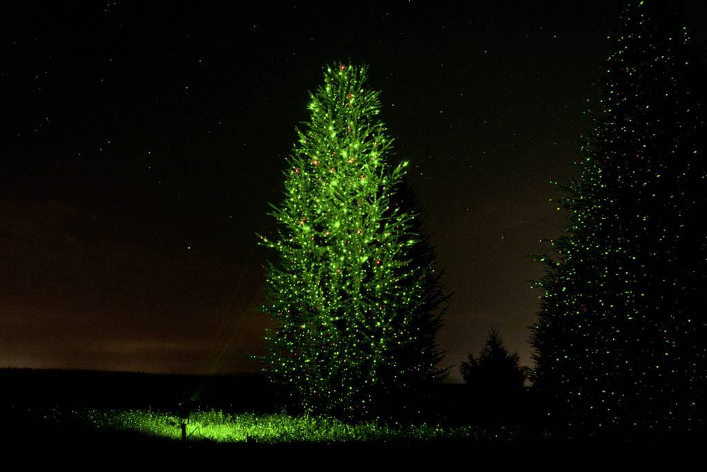 Laserworld GS-60RG Garden Star Mini Schwarz