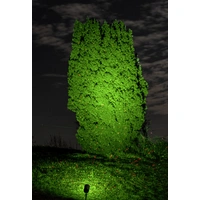 Laserworld GS-80 Garten-Laser Schwarz Laserworld GS-80 Garten-Laser Schwarz