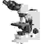 Kern OBL 137 OBL 137 Durchlichtmikroskop Trinokular 1000 x Durchlicht