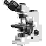 Kern OBL 155 OBL 155 Durchlichtmikroskop Trinokular 1000 x Durchlicht