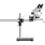 Kern OZL 963 Stereo-Zoom Mikroskop