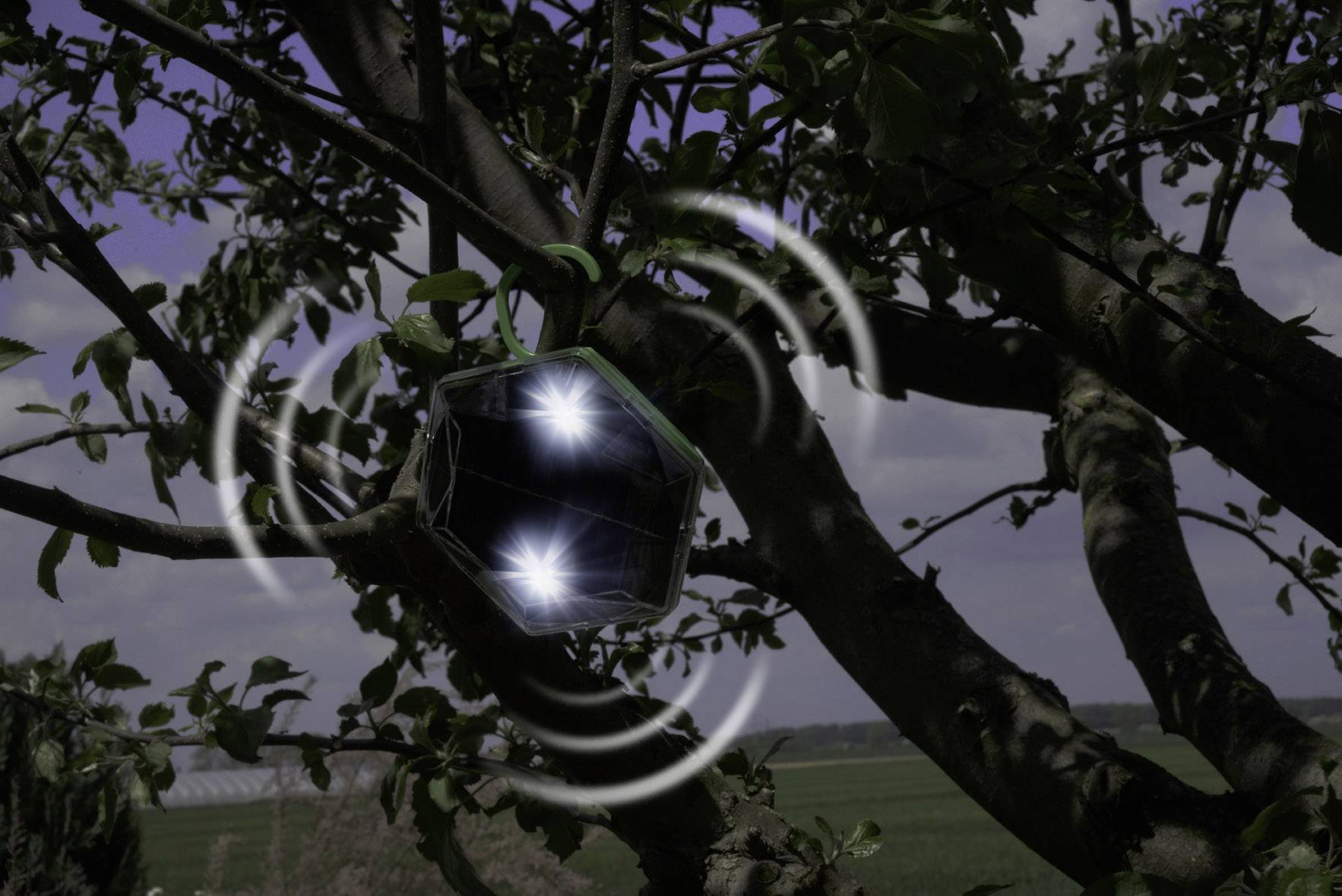 Gardigo Solar 360° Vogelvertreiber Funktionsart Multifrequenz, LED-Licht Wirkungsbereich 150 m² 1 St.