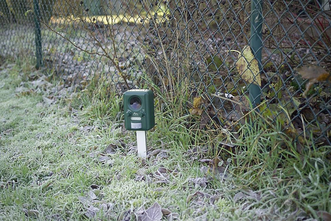 Gardigo Solar Tiervertreiber Funktionsart Multifrequenz, LED-Licht Wirkungsbereich 100m² 1St.