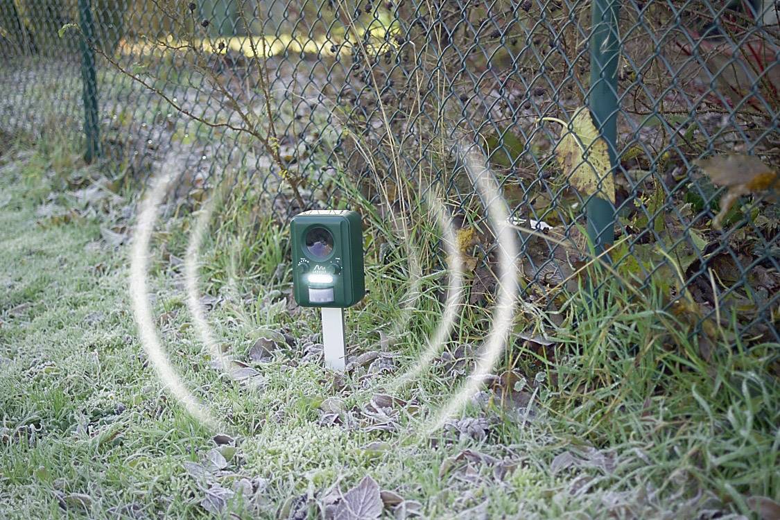 Gardigo Solar Tiervertreiber Funktionsart Multifrequenz, LED-Licht Wirkungsbereich 100m² 1St.