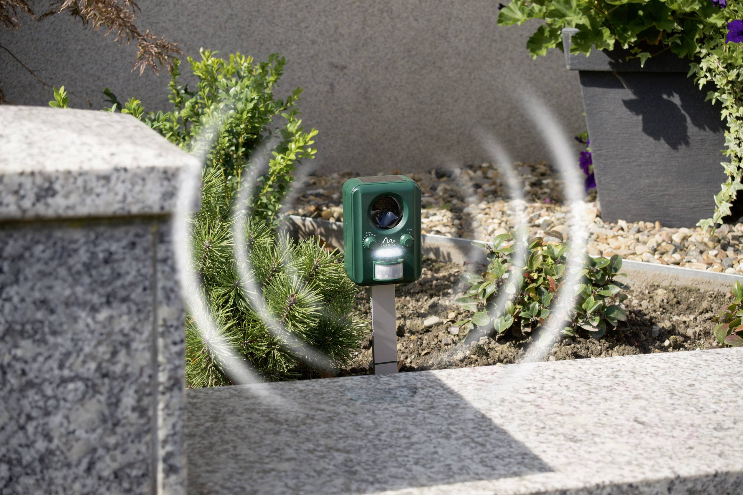 Gardigo Solar Tiervertreiber Funktionsart Multifrequenz, LED-Licht Wirkungsbereich 100 m² 1 St.