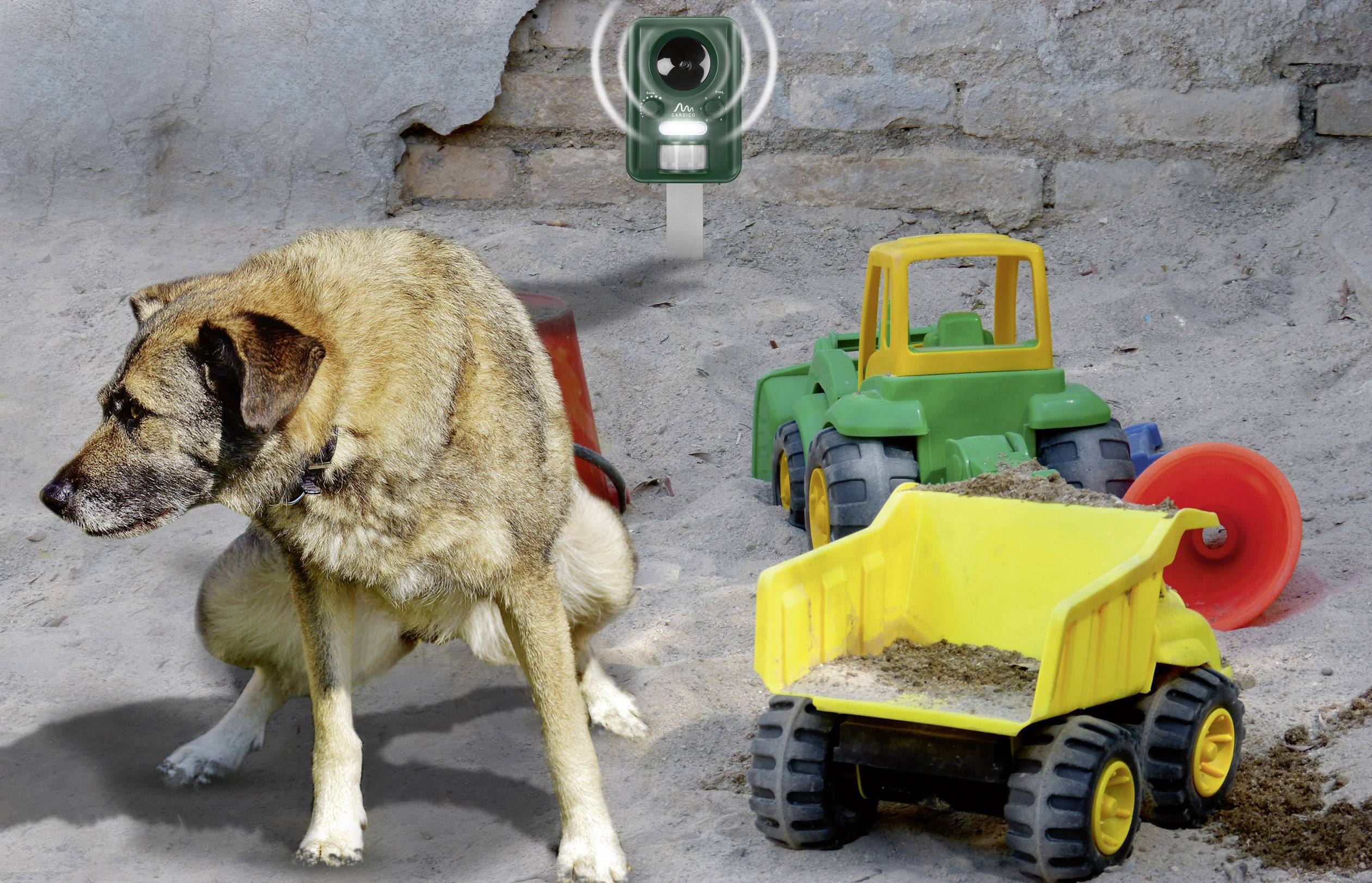 Gardigo Solar Tiervertreiber Funktionsart Multifrequenz, LED-Licht Wirkungsbereich 100m² 1St.