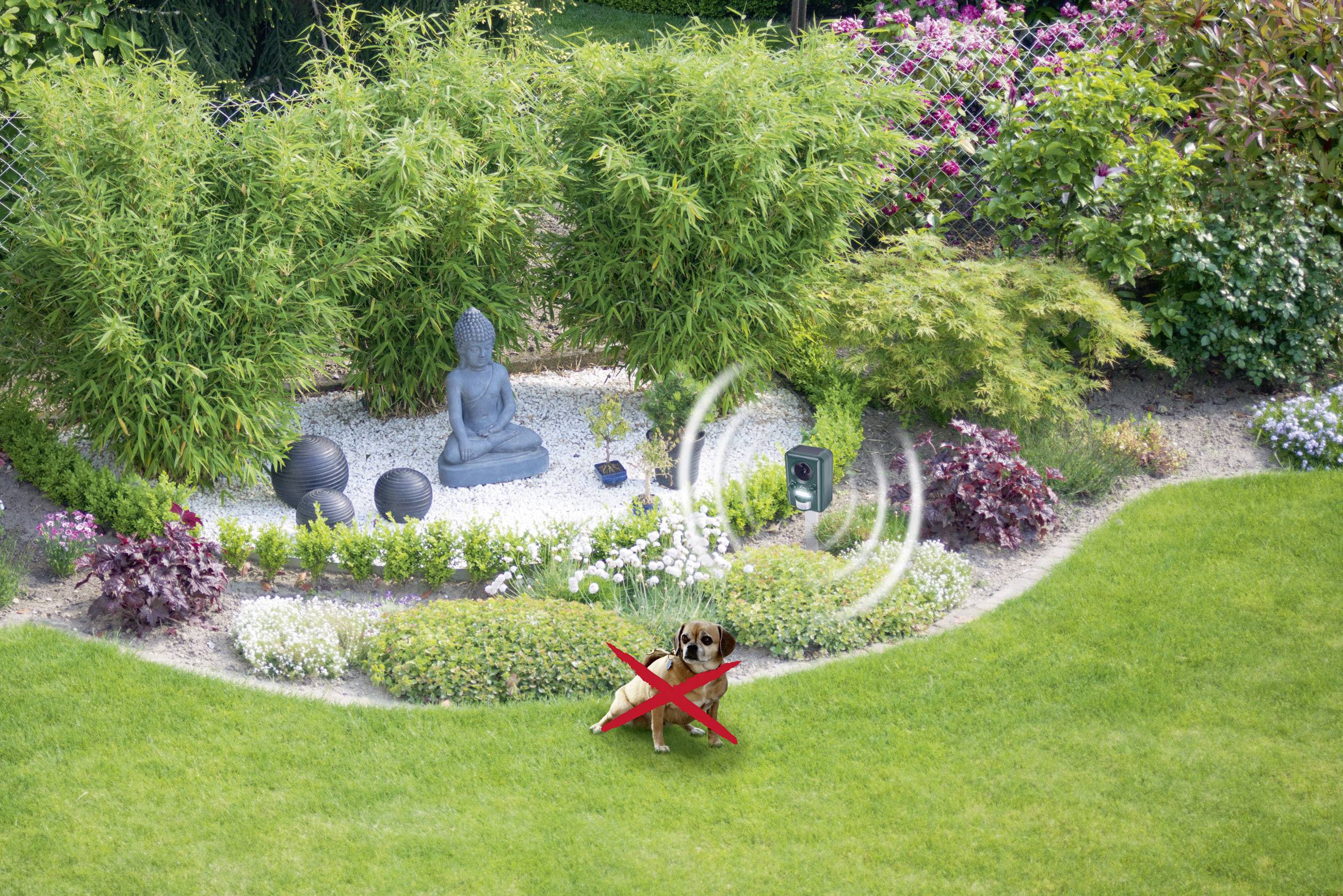 Gardigo Solar Tiervertreiber Funktionsart Multifrequenz, LED-Licht Wirkungsbereich 100m² 1St.