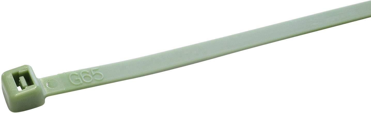WKK 5269 Kabelbinder 300mm 4.80mm Grün Säurebeständig 100St.