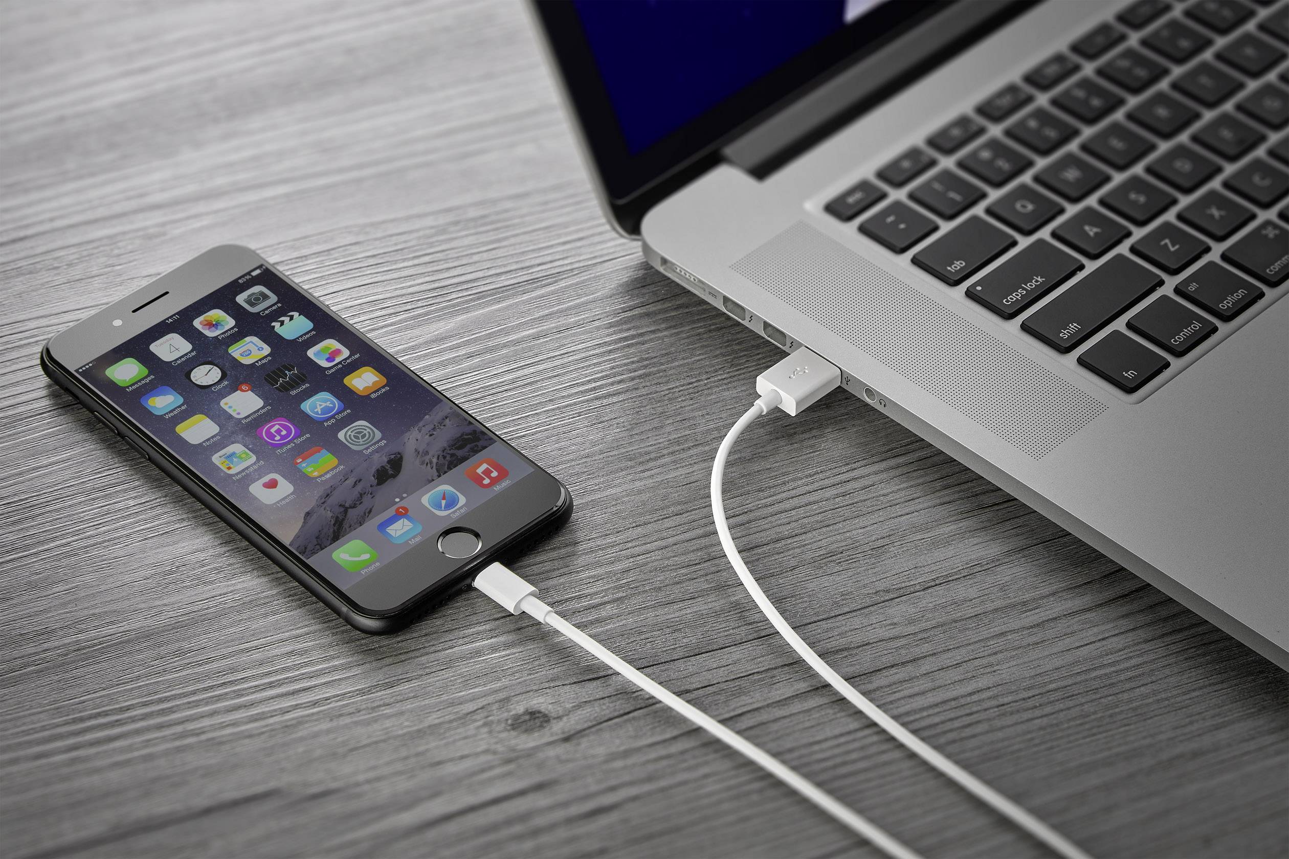 Basetech Apple iPad/iPhone/iPod Anschlusskabel [1x USB 2.0 Stecker A - 1x Apple Lightning-Stecker] 1.00m Weiß