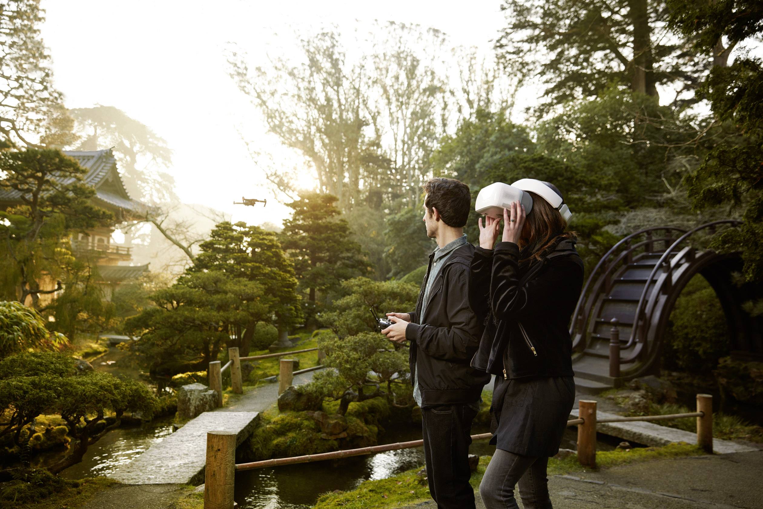 DJI Goggles Multicopter-FPV-Brille Passend für: Mavic 2, Mavic Air, Mavic Pro, Mavic Pro Platinum, Phantom 4, DJI Inspir