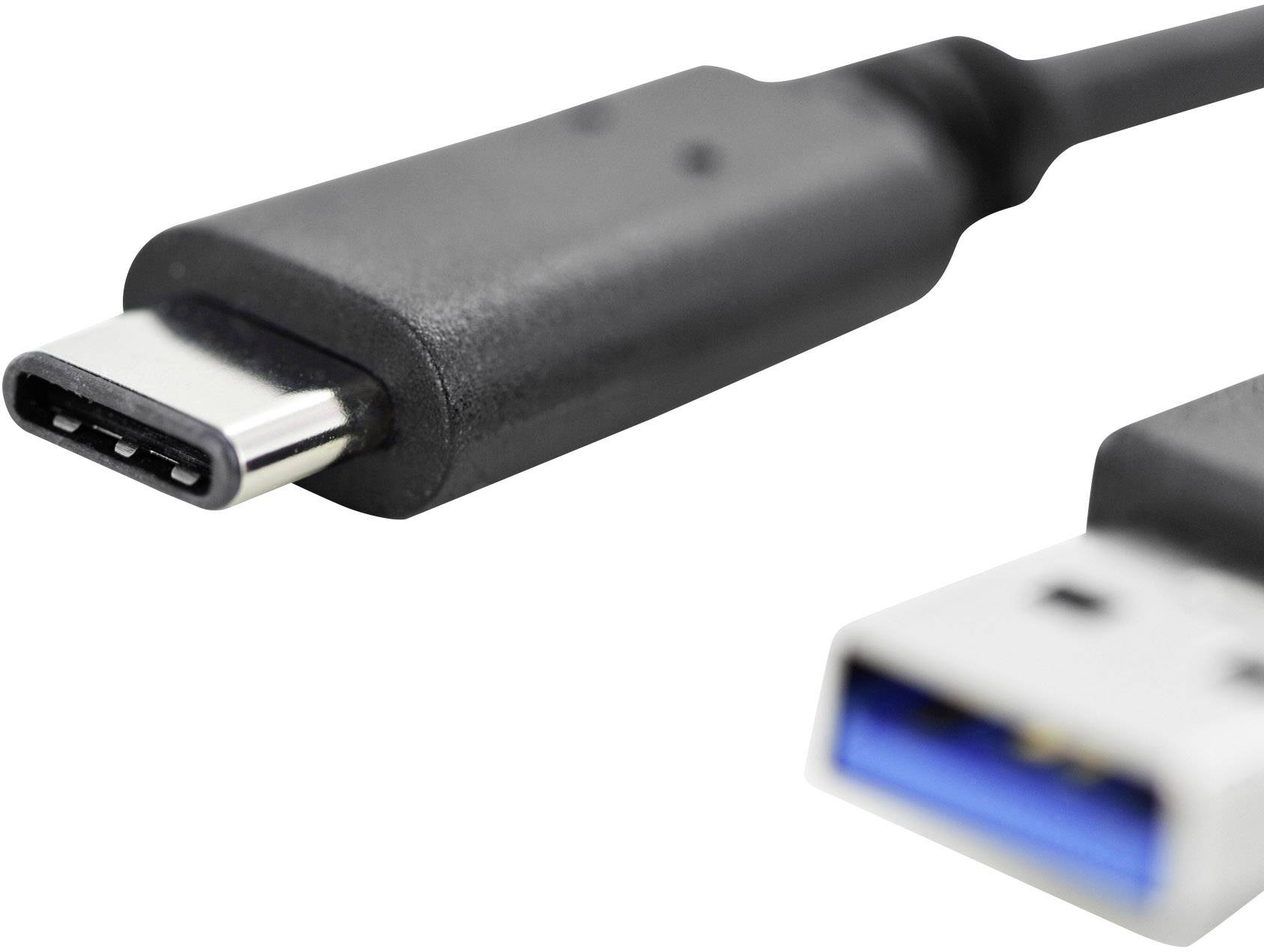 Ein USB-C-Stecker und ein USB-A-Stecker mit blauem Innenraum liegen nebeneinander. Beide werden häufig für Datenübertragung verwendet.