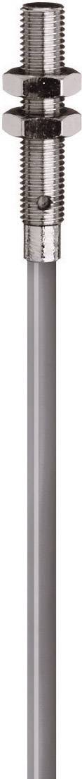 Eine lange, metallische Sonde mit einem geraden Stab. Oben ist ein zylindrischer Anschluss erkennbar. Geeignet für technische Anwendungen.