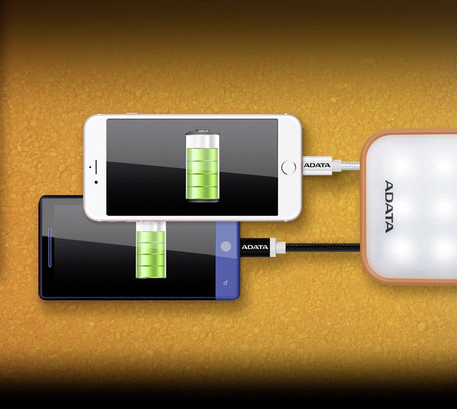 ADATA D8000L Powerbank (Zusatzakku) LiPo 8000 mAh AD8000L-5V-COR