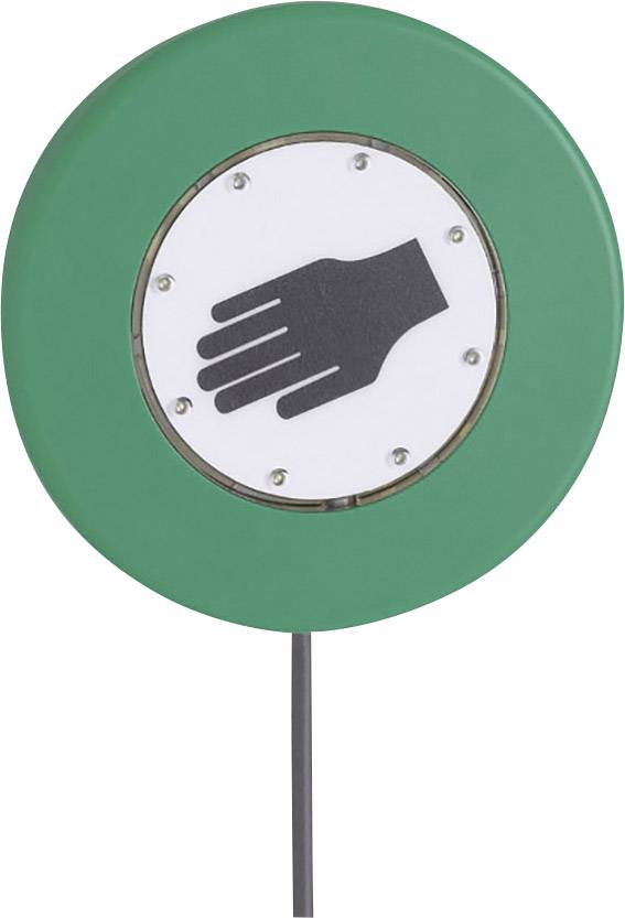 Rundes grünes Verkehrszeichen mit schwarzem Handsymbol auf weißem Hintergrund, zeigt an, dass Fußgänger warten sollen.